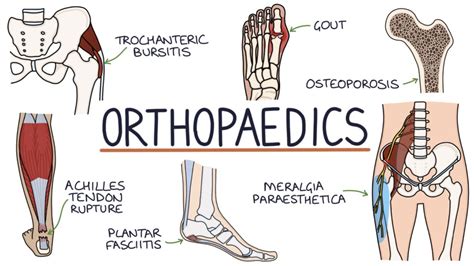 zero to finals|zero to finals orthopaedics.